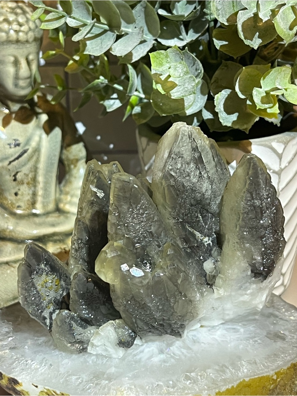 GORGEOUS Dragon Scale Calcite with Barite